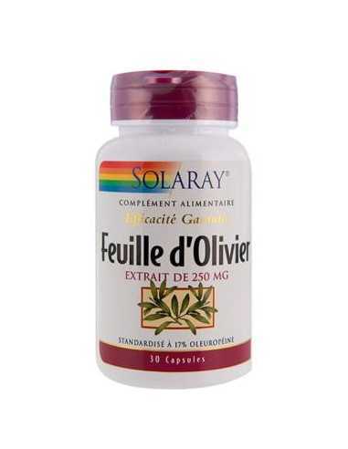 feuille d olivier solaray